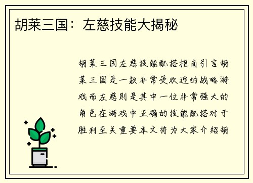 胡莱三国：左慈技能大揭秘